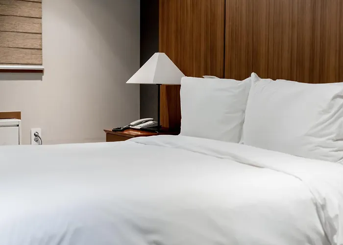 Oriens & Residences Myeongdong Hotel Seul